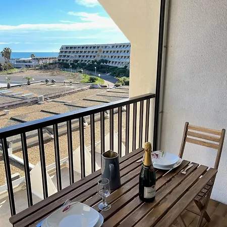 Apartment Naturiste Bord De Mer, Terrasse Sud, Clim, Parking - Fr-1-249a-44